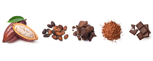 Good Chocolate for My Body